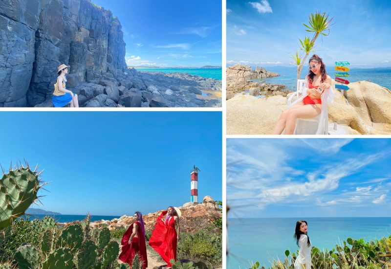 tour-quy-nhon-5 Ghềnh đá đĩa - Hoa vàng trên cỏ xanh